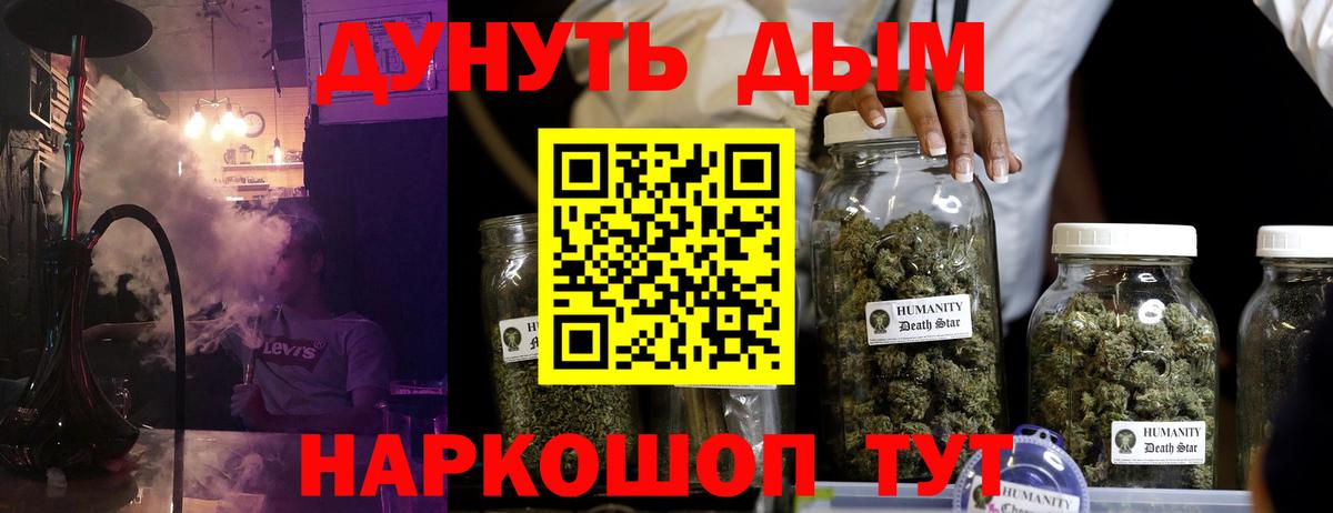 Каннабис индика Гатчина